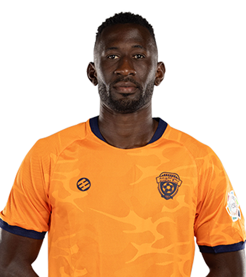 سيلفر غانفولا Player Image